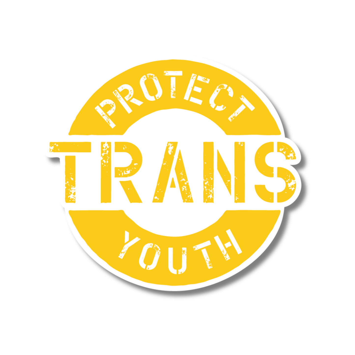 Protect Trans Youth Vinyl Sticker