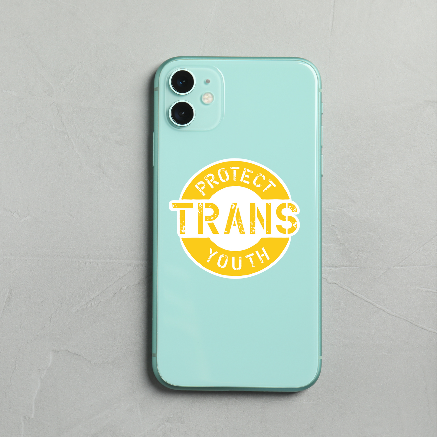 Protect Trans Youth Vinyl Sticker